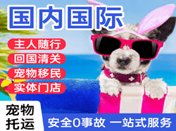 温州龙湾空运地址国际宠物托运 【国